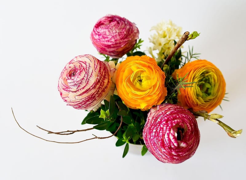 Galactic Centerpieces