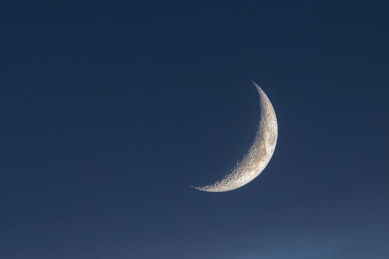 Moon phase desserts