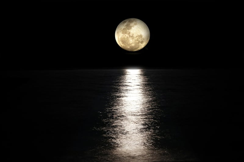 Moonlit Tuxedo